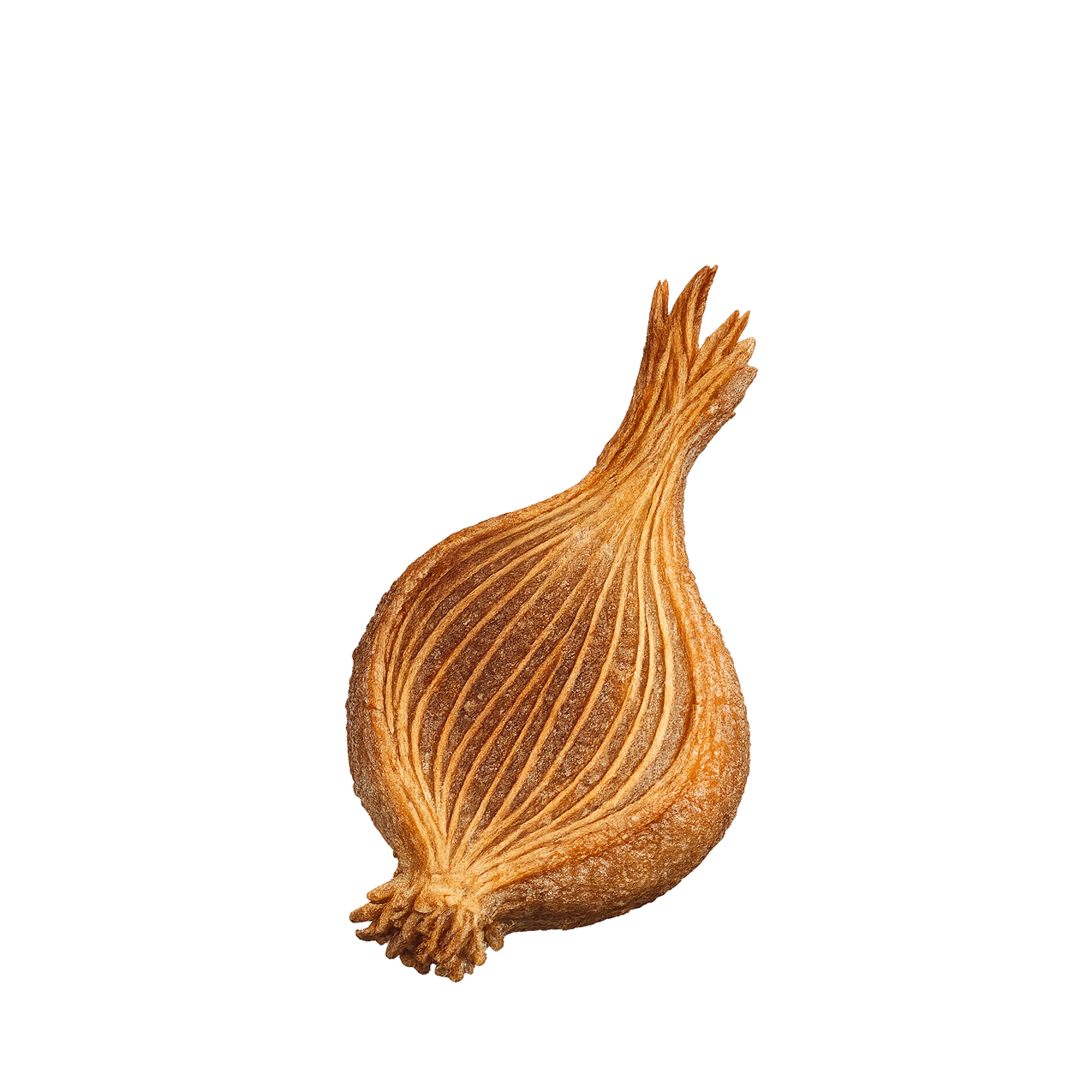 Alles Zwiebel Bite