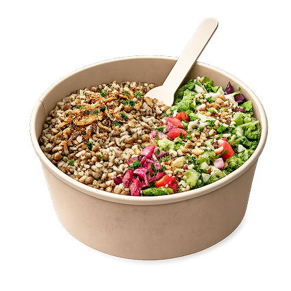 Mujaddara Bowl
